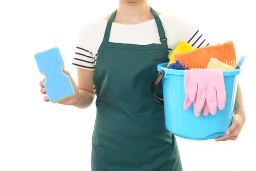 Professional cleaners in NW10 providing detailed home cleaning service
