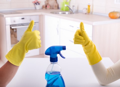 Domestic cleaning in NW10 for a tidy local home