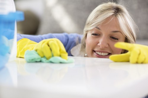 Detailed cleaning support in a modern NW10 property