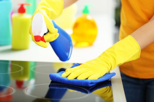 Specialist cleaners in NW10 cleaning carpets and upholstery
