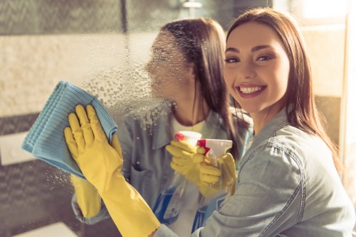 Regular domestic cleaning for flats and family homes in NW10