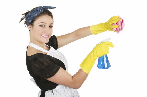Detailed kitchen appliance cleaning in NW10 for better hygiene